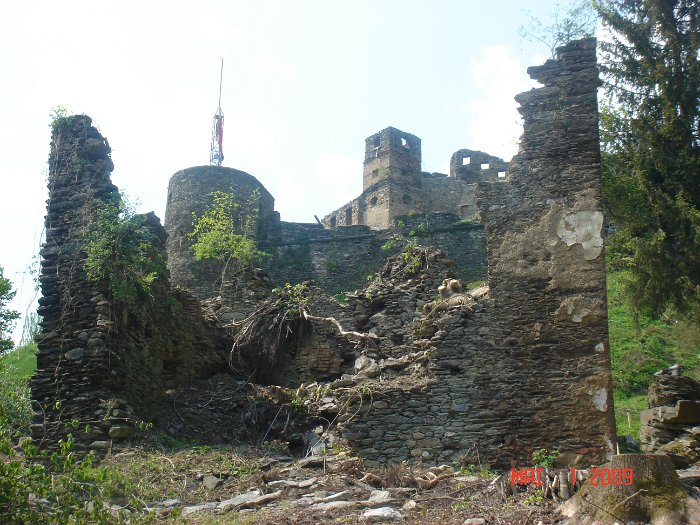 Schlägerung 073